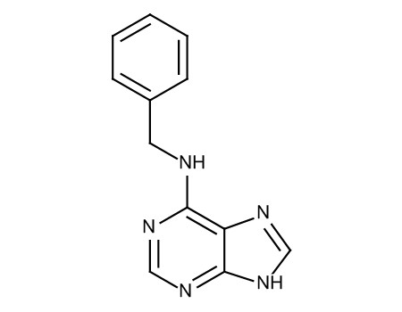 プリンsp2枚 製品詳細