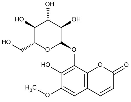 フラキシンのリーフレット
